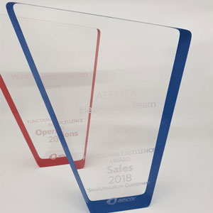 Co-Carre – Functional Excellence Awards